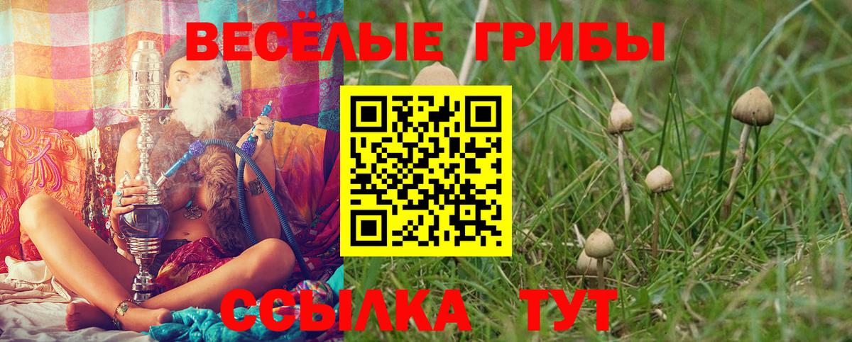 Псилоцибиновые грибы Psilocybine cubensis  Галлюциногенные грибы мухоморы  Вход с VPN  Ялуторовск 